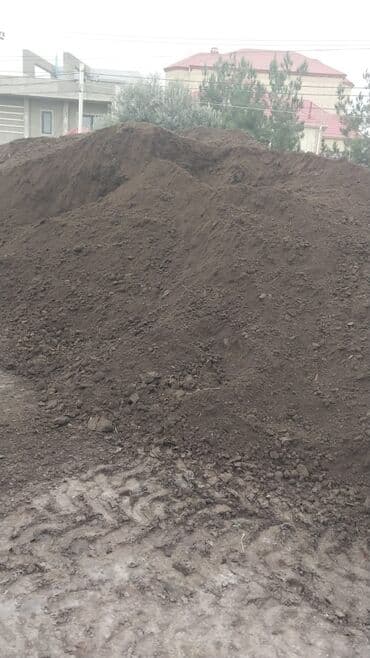 ağac satışı baki: Balaken torfu peyin ekolayf peyin peyin peyin torf250 litr torf — 10