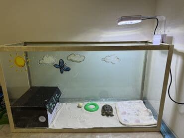 akvarium filteri: Qurbağa və ya quru/su tısbağası üçün tam qurulmuş terrarium dəsti — 2