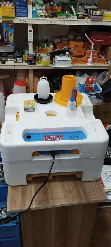 Inkubatorlarin birinci əl satişi unversal inkubator inkubator 196