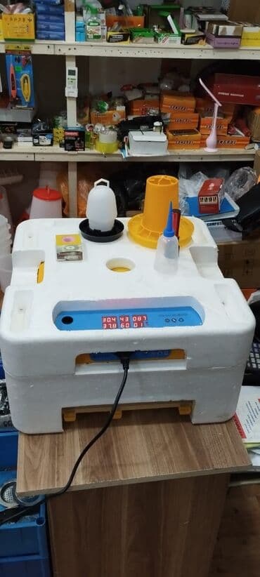 qirqovul satilir: Inkubatorlarin birinci əl satişi unversal inkubator inkubator 196 — 1