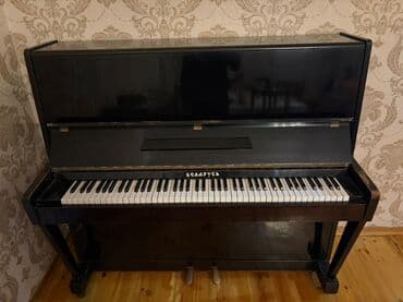 Qapıların quraşdırılması, montajı: Piano, Belarus, Akustik — 1