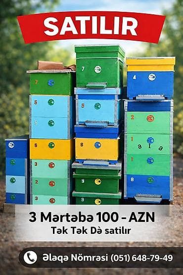 Akvariumlar: ⚠️ÇOX AZ İSTİFADƏ OLUNUB ⚠️ Arı yeşikləri (3 mərtəbəlik) - Rəngli — 1