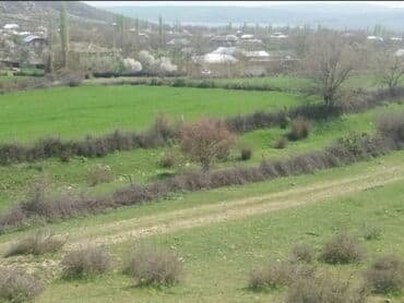 xacmazda satılan evlər: 19 sot, Kənd təsərrüfatı, Mülkiyyətçi, Kupça (Çıxarış) — 3