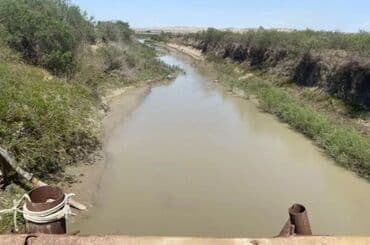 bina evləri bakı: 1500 sot, Kənd təsərrüfatı, Mülkiyyətçi, Kupça (Çıxarış) — 5