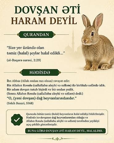 daraq dekor: Kaliforniya və burqun dovşanlarinin hər ay balalari və halal kəsilmiş — 3
