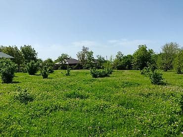 Torpaq sahələrinin satışı: 4 sot, Tikinti — 7