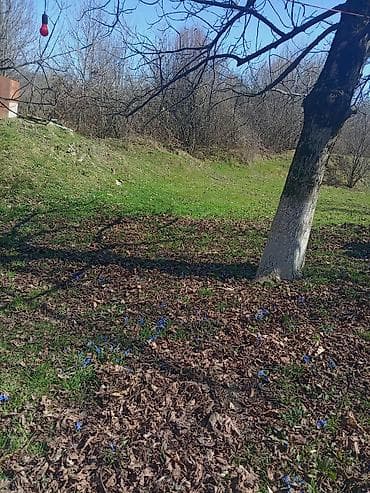 qapı ucuz: Torpaq Vəndam qəsəbəsində yerləşir. Qazı, suyu, işığı telefon xətti — 6