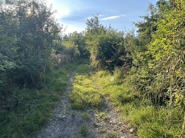 xacmazda findiq bagi satilir: Kənd təsərrüfatı — 8