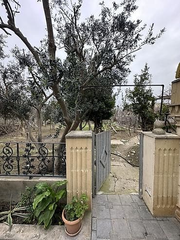 5 sot, Tikinti, Makler, Kupça (Çıxarış)