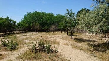 bir sot torpaq nece metrdir: 25 sot, Tikinti, Makler, Kupça (Çıxarış) — 6