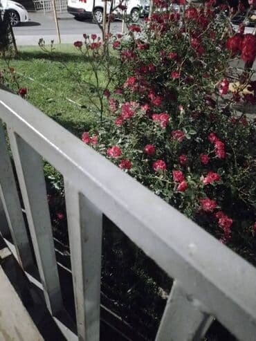 sulutəpədə kirayə ev: Yasamal rayonu,İnşaatçılar metrosu,Mida Yasayis kompleksi,9 — 10