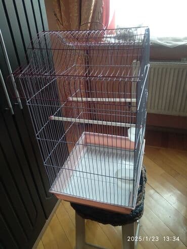 переноска для кошек баку: Quşlar üçün qəfəs — 3