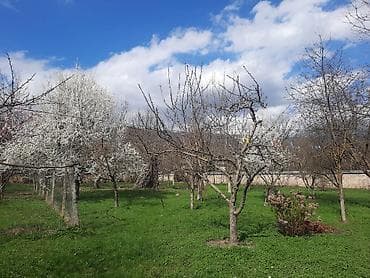 cilegerde kiraye evler: 2 otaqlı — 5