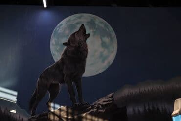 аренда комнаты в салоне красоты: SATILIR!!! Babək prospektində 3000m2 sahəsi olan 3-1də avtoservis — 7