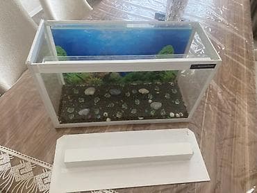 akva: Dördbucaq akvarium, Boş, 20 l, Ünvandan götürmə — 5