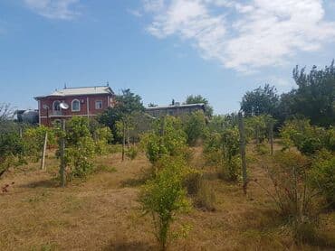 ferma torpaq: 24 sot, Tikinti, Makler, Kupça (Çıxarış) — 11