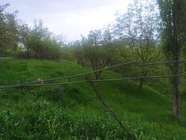 torpaq lokbatan: Yaşıl otlar və müxtəlif ağaclarla örtülmüş, yamaclı ərazidə yerləşən — 4