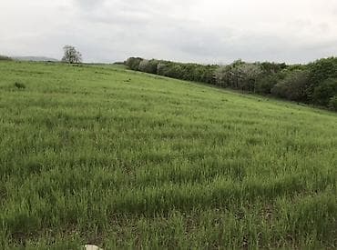 qubada ucuz evler: 130 sot, Kənd təsərrüfatı, Mülkiyyətçi, Kupça (Çıxarış) — 3