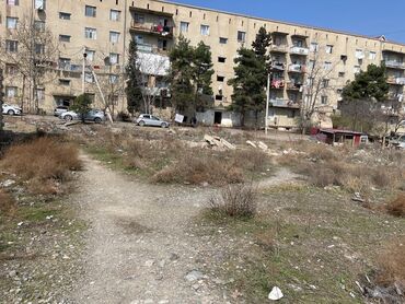 bine qesebe: 4 sot — 1