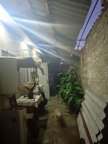 penisi necə böyütmək olar: 2 otaqlı, 1 kv. m, Kredit yoxdur, Orta təmir — 6