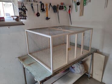 dovşa: Papuqay,dovşan,hamster,şinşila,bildirçin,cücə,xamyak,pişik,quş,tısbağa — 3