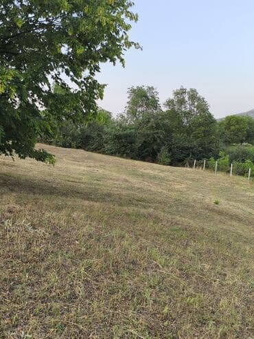 bulbulede torpaq: 40 sot, Tikinti, Mülkiyyətçi, Kupça (Çıxarış) — 5