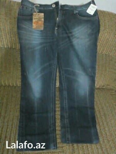 rus papağı: Almaniyadan getirilib. Tezedir. Cox kefiyyetli maldir. Olcusu kicik — 3