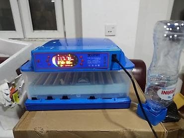 ınqbator: Çin, Fabrik istehsalı, Tam avtomat, Bütün növ quşlaq üçün — 7