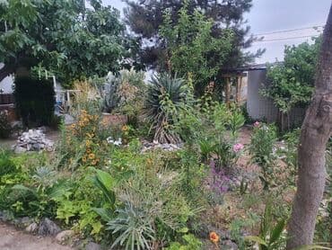 снять дачу баку: 250 м², 6 комнат — 8