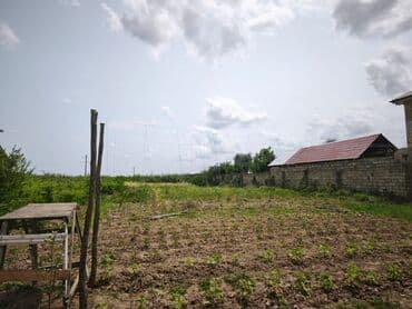 obyekt ucun torpaq: 9 sot, Tikinti, Mülkiyyətçi, Kupça (Çıxarış) — 4