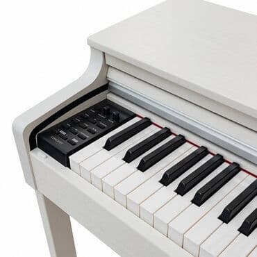 yamaha piano qiymeti: Piano, Rəqəmsal, Yeni, Pulsuz çatdırılma, Rayonlara çatdırılma, Ödənişli çatdırılma — 5
