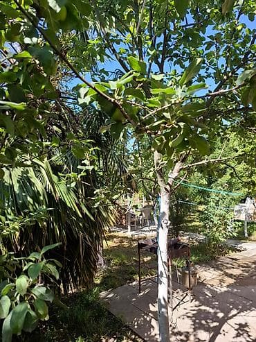 2 ci mikrorayon: 100 kv. m, 3 otaqlı — 6