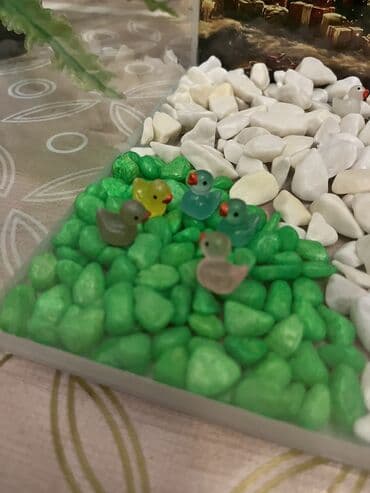 novruz bayramına aid rəsimlər: Akvarium 15 litr(35.20.20)5 ədəd danio balığı hədiyyə verirəm.su — 6