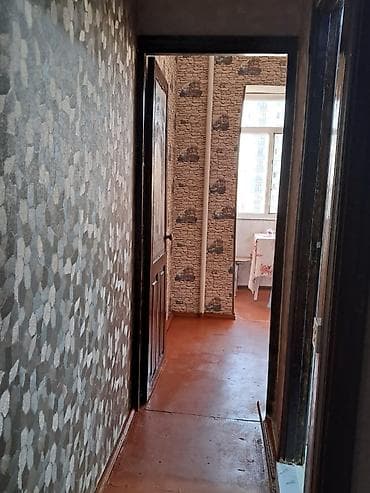 studio menziller: Yeni Gunewlide D massivde Tamstorun yaninda 9 mertebenin 8 ci — 6