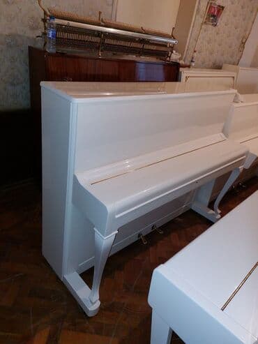 piano dersleri baki: Pianino PETROF Cexiya stehsalı. ideal vəziyyədə .Cadrılma və köklənmə — 2
