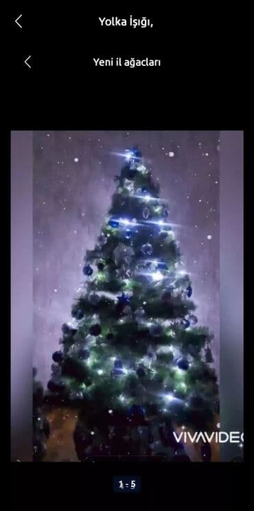 innab agaci: Yeni il ağacları — 2