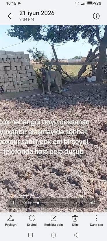 Kaqal satılır boy 95 — 4
