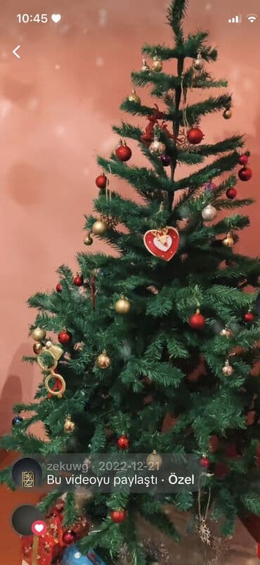 qeleme agaci: 180 sm Yolka Yeni il şam ağacı Iqruskaları ulduzu ustunde hedıyye — 4