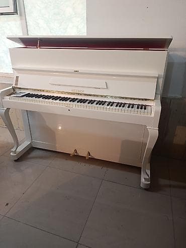 gitara pedalları: Petrof upright piano – klassik dizaynlı ağ rəngdə akustik model — 1