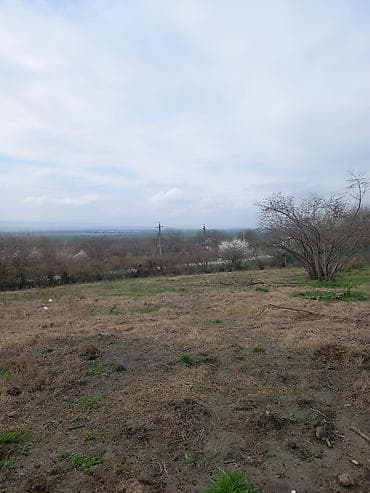 razin torpaq satilir: 15 sot, Tikinti, Mülkiyyətçi, Kupça (Çıxarış) — 1