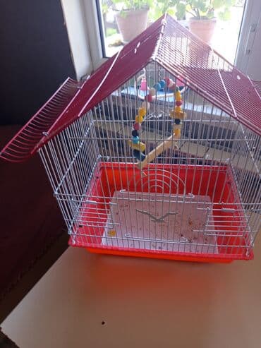 Qəfəs – xırda quşlar üçün - Material: möhkəm metal barmaqlıqlar lalafo.az -da Qəfəs – xırda quşlar üçün - Material: möhkəm metal barmaqlıqlar