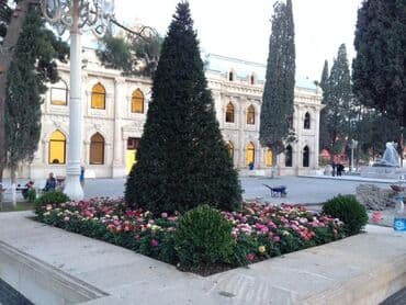 lipa ağacı: Dekarativ agaclarin satisi qazon torpaq torf diger gubrelerin satisi — 17