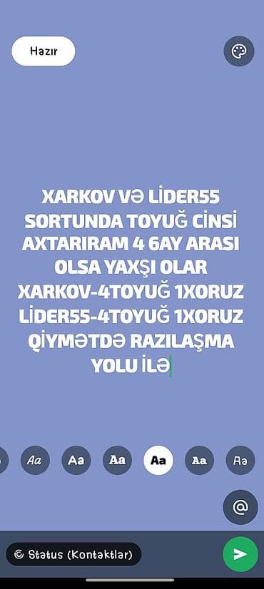 brahma toyuqları: Toyuq, Yumurtalıq — 1