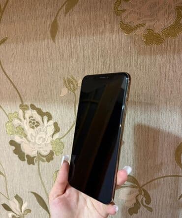 Физика: IPhone Xs, Золотой, Face ID — 5