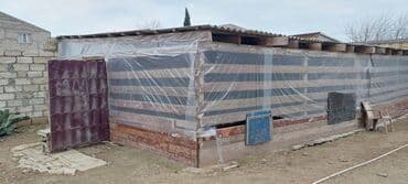 pol ucun taxta: Aisbes şifer qalın atma pol taxtaları 3 metrlik tumbalar var istiyən — 1