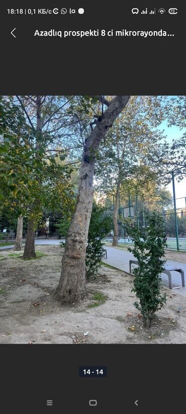 azadliq prospekti kiraye evler: Azadlıq prospekti, 8-ci mikrorayon Azadlıq metrosunun yaxınlığında — 9