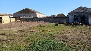 anaskinde heyet evleri: Tikinti — 8