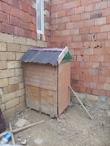 Salam.gördüyünüz quş damı satılır qiyməti 50 manat və satdıq 8 dənədə lalafo.az -da Salam.gördüyünüz quş damı satılır qiyməti 50 manat və satdıq 8 dənədə