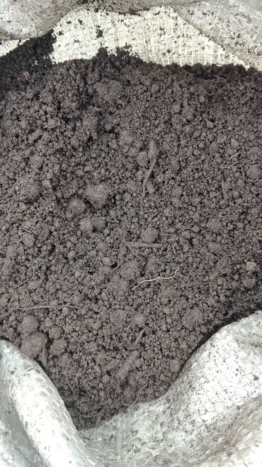 1 eded qizil gul qiymeti: Torf gubresinn satişi torf balaken 2.50 300den cox alana catrlma — 16