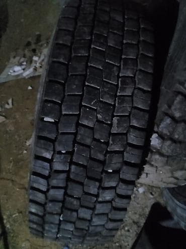 Məhsul: Ağır yük avtomobilləri üçün Westlake yük şinləri - Brend